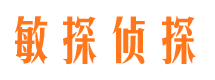 黄石港捉小三公司